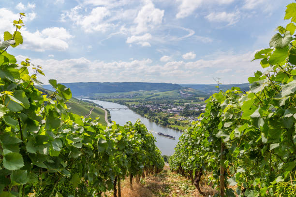 istock Longuich at Moselle Germany Europe 998425558