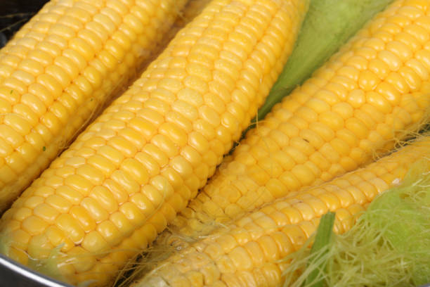 istock Ripe corn heads in a pan with boiling water 998425664