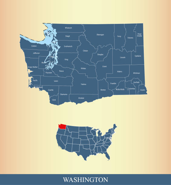 워싱턴 카운티 지도 벡터 윤곽선 군 이름 표시 하 고 파란색 배경에서 미국 지도 - bellingham stock illustrations
