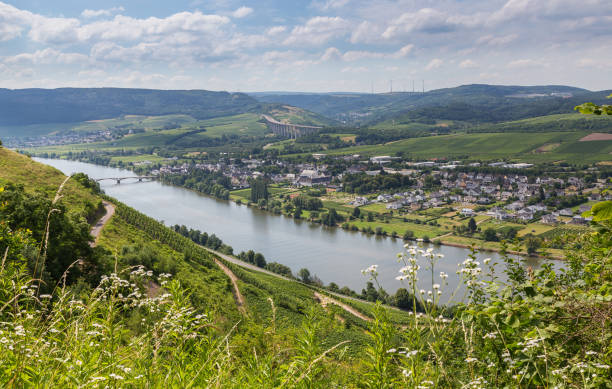 istock Longuich at Moselle Germany Europe 998426430