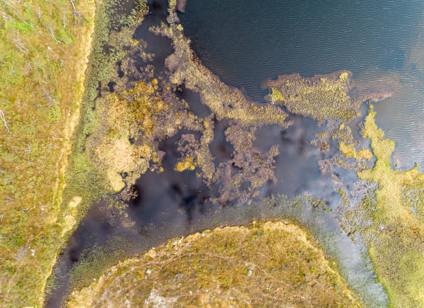 istock Remote located lake in the great wilderness seen from above 998428968