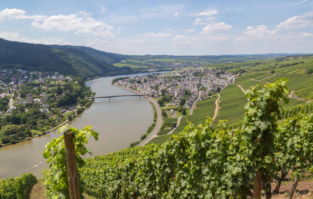 istock Mehring on the Moselle Germany Europe 998429516