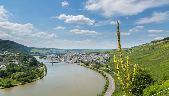 Mehring on the Moselle Germany Europe