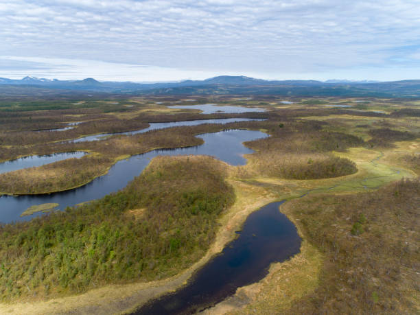 istock Green forest landscape with lakes and rivers 998437088