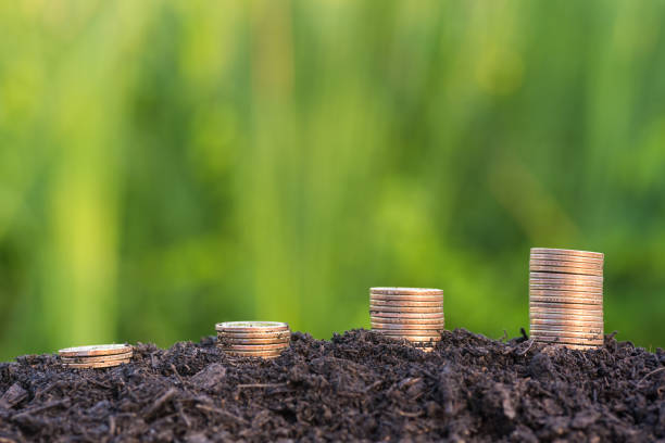 istock Close-Up Of Stacked Coins On Soil 998444646
