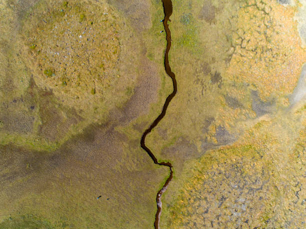istock River passing through a green savannah landscape 998453146