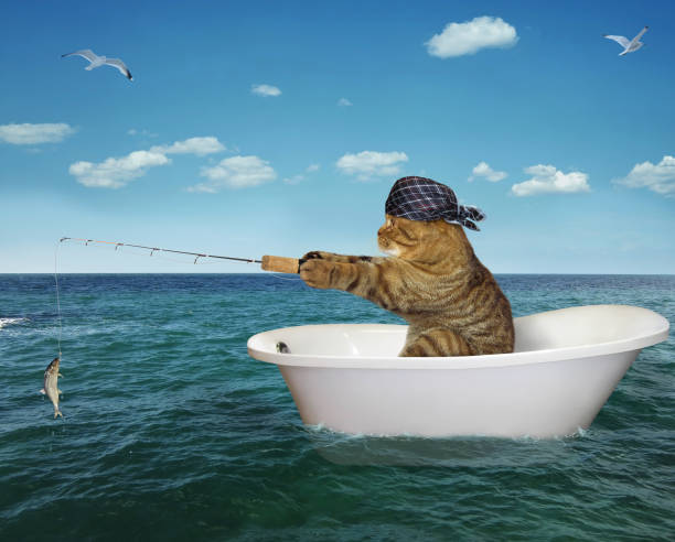 Cat is fishing on the bathtub The cat in a bandana is fishing on the bathtub in the sea. minnow fish photos stock pictures, royalty-free photos & images