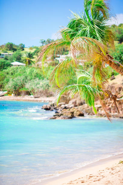 istock Idyllic tropical beach with white sand, turquoise ocean water and blue sky 998457422