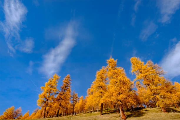 istock Livigno in autumn - Italy 998461236