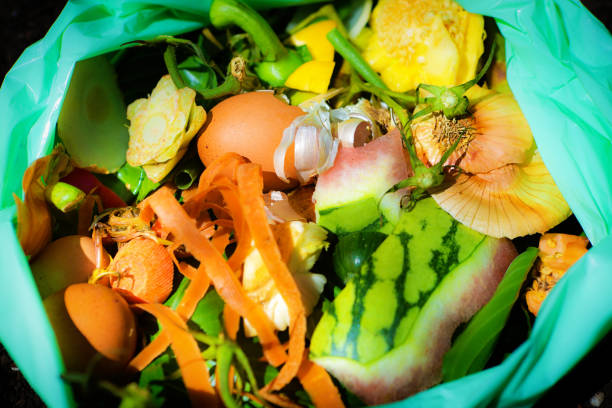 istock Green Recycling Food Waste Compost in Degradable Plastic Bag on White Background 998468878
