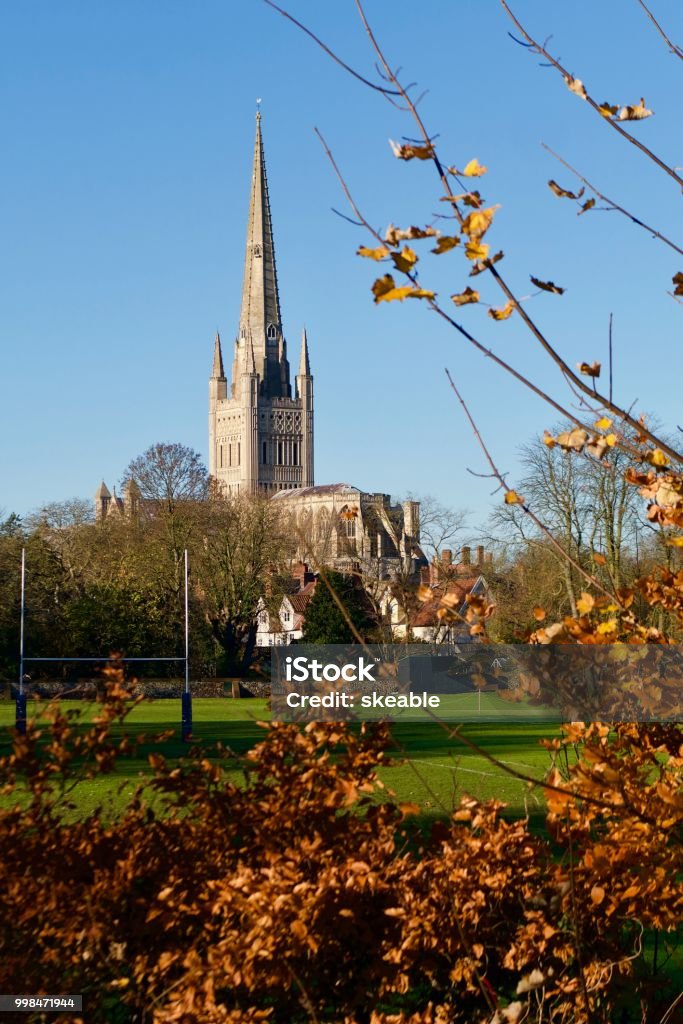 Norwich Catherdral with Autumn trees Looking towards Norwich Cathedral with the autumn leaves on trees and rugby goal. Norwich - England Stock Photo