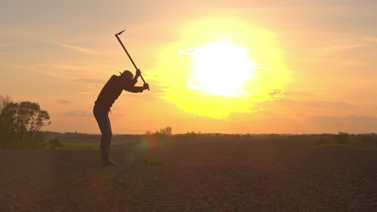 MS Silhouette farmer using hoe in rural plowed field