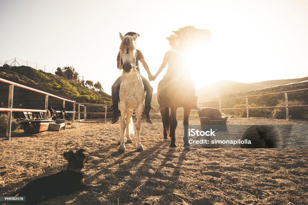 horse riding scenic picture with two animal and people couple and a dog taking hands with love and friendship and sunset sunlight in the background. warm relationship concept image Couple - Relationship Stock Photo