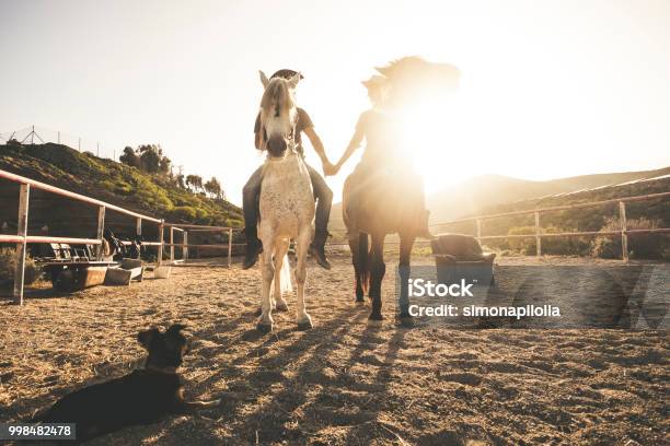 Horse Riding Scenic Picture With Two Animal And People Couple And A Dog Taking Hands With Love And Friendship And Sunset Sunlight In The Background Warm Relationship Concept Image Stock Photo - Download Image Now