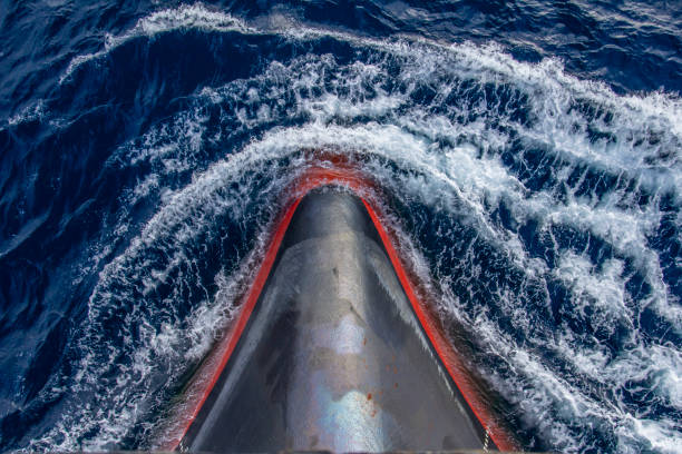 istock In front of the ship sailing 998506094