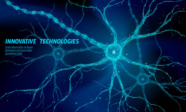 인간의 신경 낮은 폴 리 해부학 개념입니다. 인공 신경 네트워크 기술 과학 의학 클라우드 컴퓨팅. ai 3d 추상 생물학 시스템입니다. 다각형 블루 빛나는 벡터 일러스트 레이 션 - nerve cell stock illustrations
