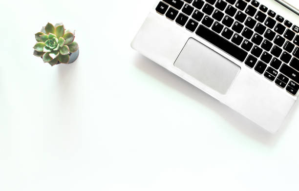 istock Office design puts laptop and small tree on a white table. 998512790