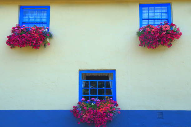 istock Blue windows with summer flowers in bloom 998514070