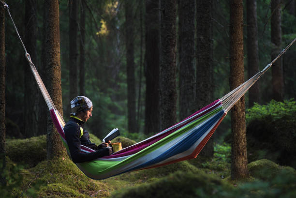 istock A man sitting in a hammock in a pine forest and reading a book 998519682
