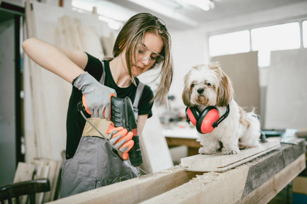 istock Female Carpenter Drilling Through Wooden Plank While Dog Assistant Watches 998526818