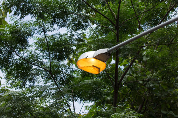 istock light of street lamp in day 998534836