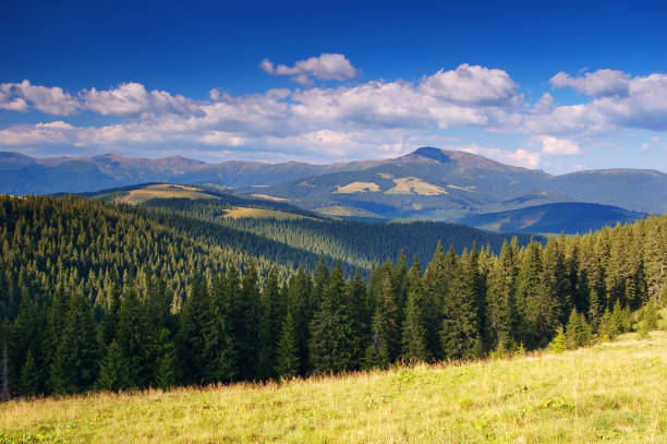 istock Summer landscape in mountains a sunny day 998557254