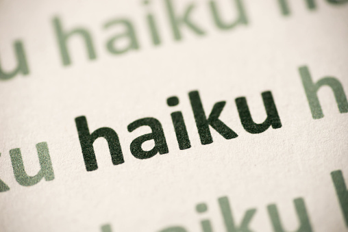 word haiku  printed on white paper macro