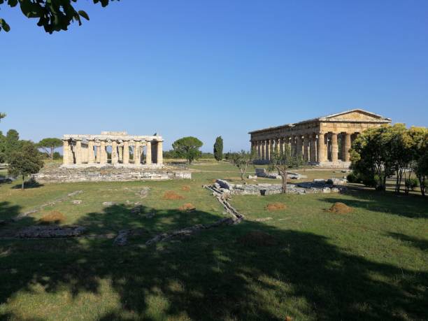 базилики паестума - temple of neptune стоковые фото и изображения
