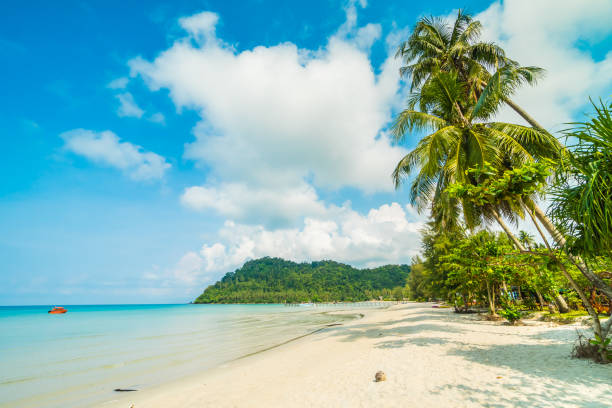 istock Scenic View Of Beach Against Sky 998571878