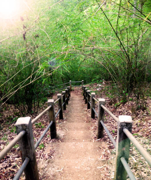 istock footpath leading down to waterfall, Chiang Mai, Thailand 998587854