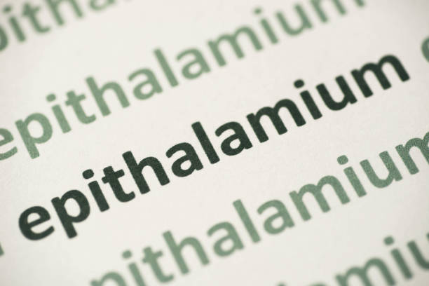 istock word epithalamium  printed on paper macro 998594558