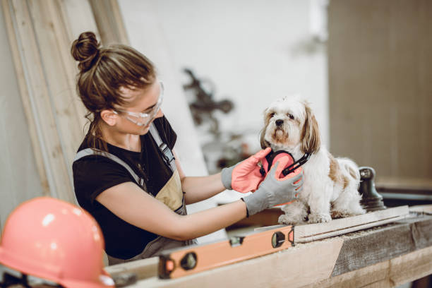 istock Female Carpenter Having Fun With Pet Puppy In Workshop 998599608