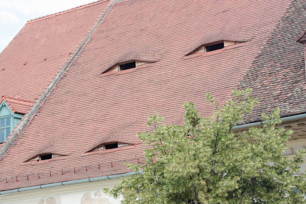 istock Spectacular romanian roofs with eyes in Transylvania 998602070