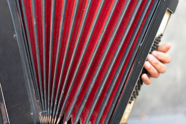 istock Accordion street player 998633146