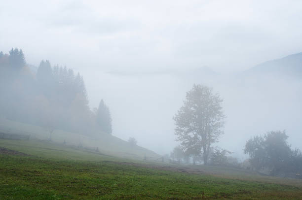 istock Autumn Landscape with fog in mountains 998643758