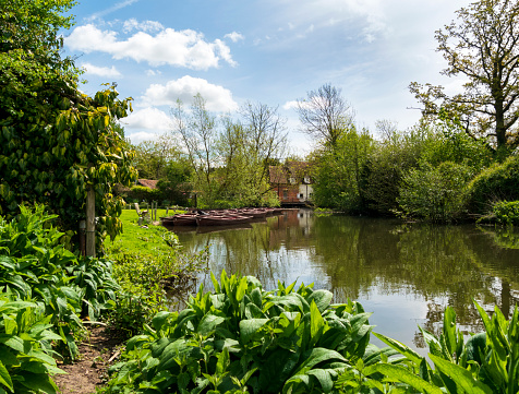 A group of rowing boats moored in the River Stour at Flatford Mill in Suffolk, eastern England. Flatford Mill was the scene of many works by the famous English painter John Constable. The area around the Mill is open to the public for walking and leisure.