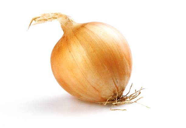 onion. - sweet onion stock-fotos und bilder
