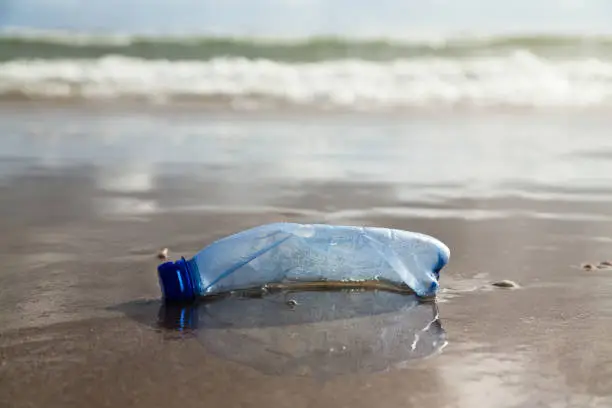 plastic bottle on the shore