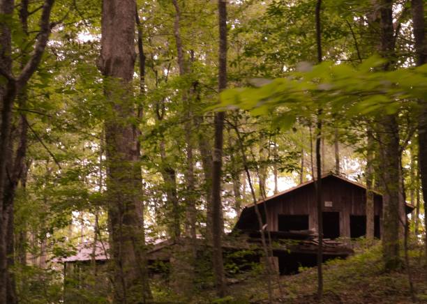 istock A Cabin in the Woods 998666500