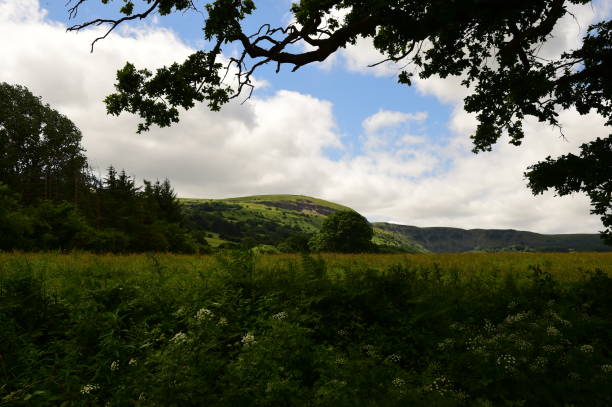 istock Monmouthshire and Brecon Canal 998675024
