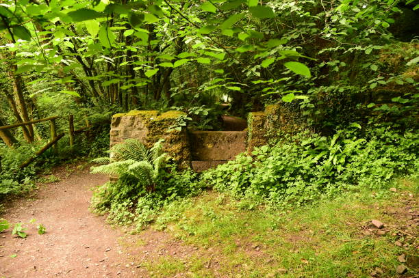istock Monmouthshire and Brecon Canal 998675256