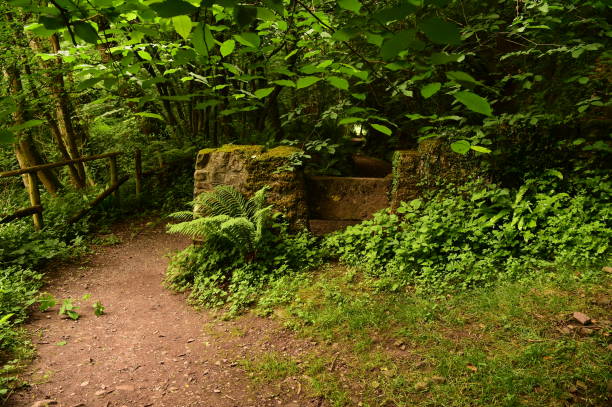 istock Monmouthshire and Brecon Canal 998675266