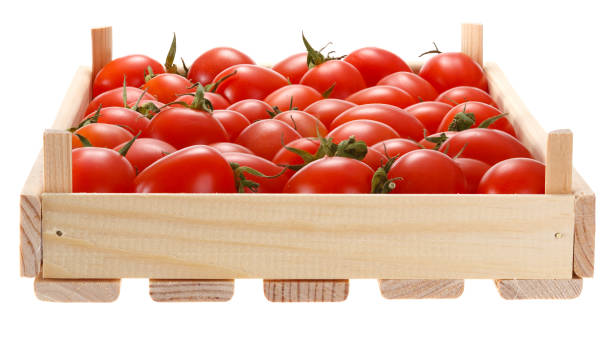 istock Small red tomatoes in a wooden box isolated on white background. 998675348