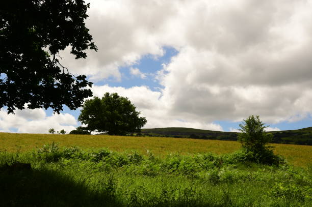 istock Monmouthshire and Brecon Canal 998684794