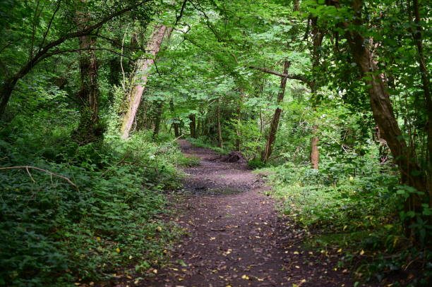 istock Monmouthshire and Brecon Canal 998685278