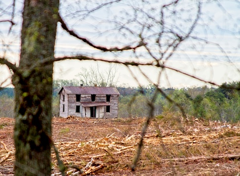 An abandoned house found in NW Virginia when worker clear-cut acres of timber that had hidden the house for years.