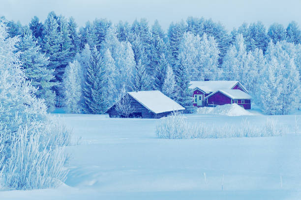 casa en la nieve cubrió el bosque de invierno navidad finlandia laponia - cabin snow finland lapland fotografías e imágenes de stock