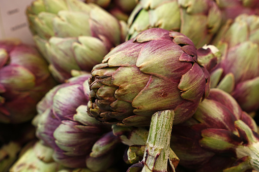 Green and purple fresh globe artichokes on retail market display, low angle view
