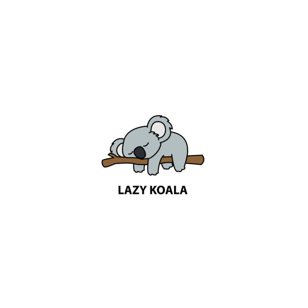 lazy koala spanie na gałęzi kreskówki, ilustracja wektorowa - marsupial stock illustrations