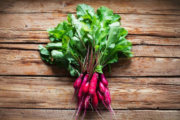 bocadillo - beet green fotografías e imágenes de stock